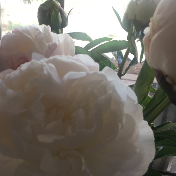 Meet your Posher, Kait - Picture 1 of 1